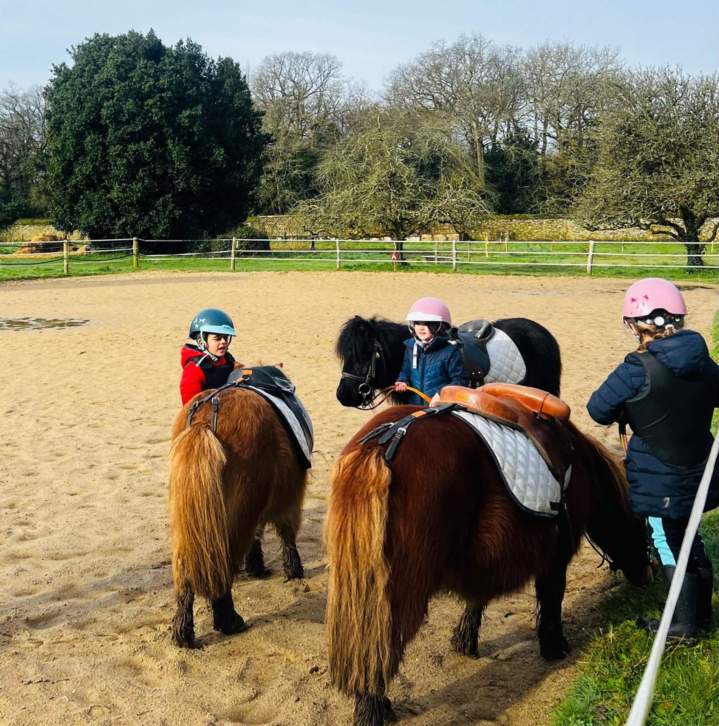 Entreprise hippique La Chapelle-sur-Erdre