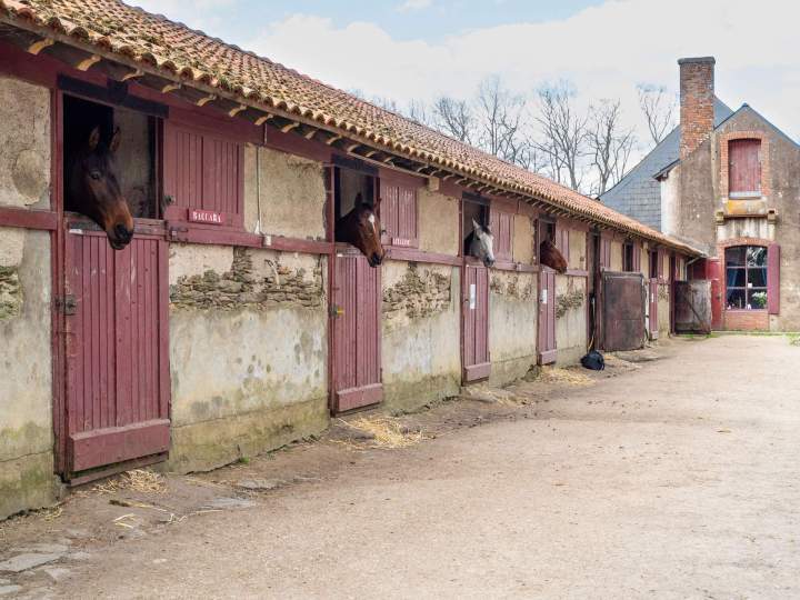 Hébergement pour les chevaux