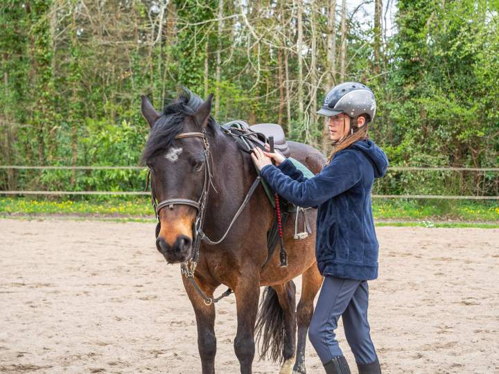 Entreprise hippique La Chapelle-sur-Erdre