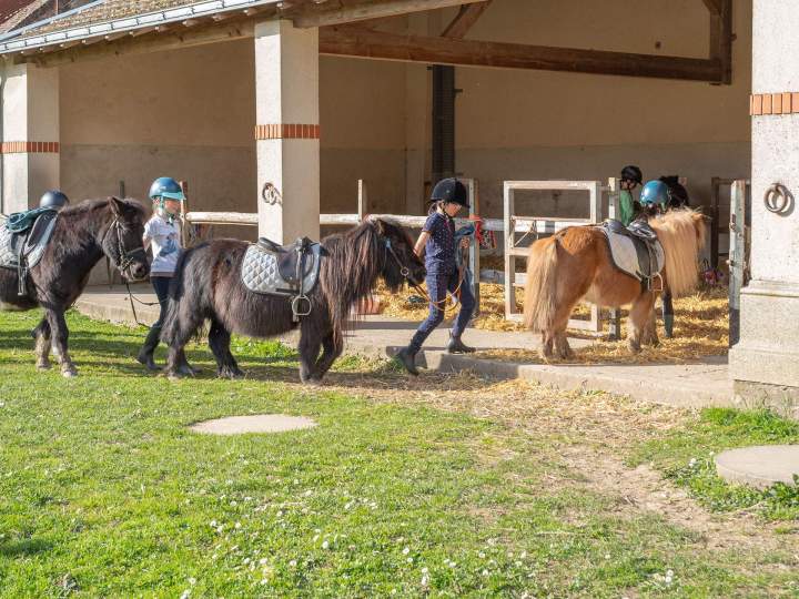 Entreprise hippique La Chapelle-sur-Erdre