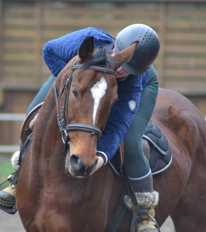 Cours de chevaux La Chapelle-sur-Erdre