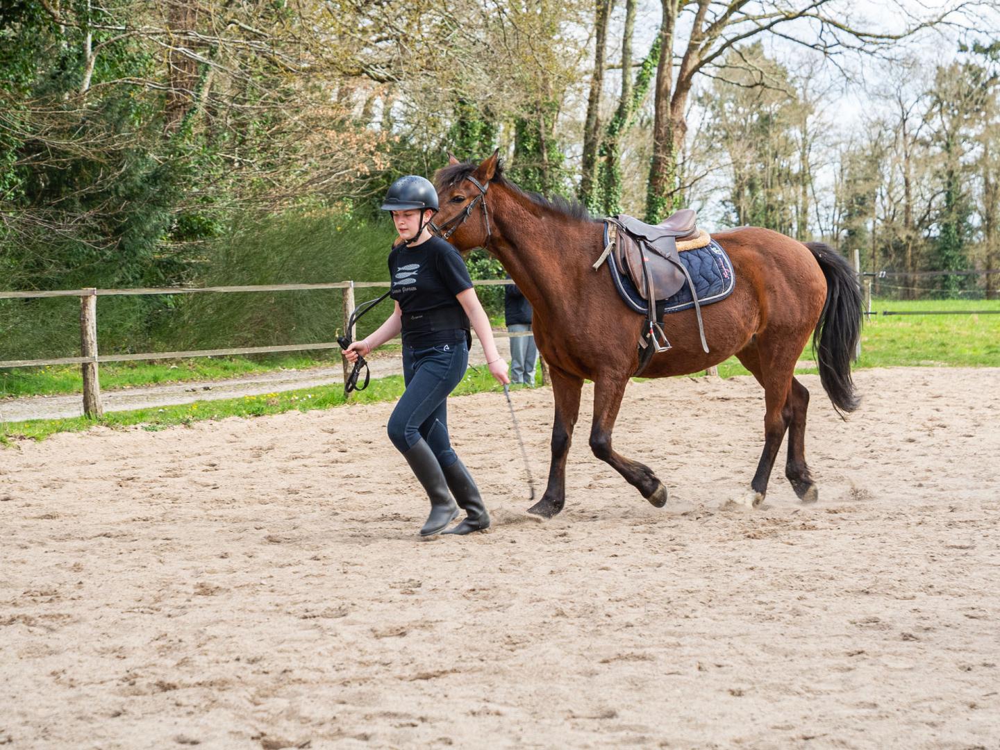 Cours d’équitation La Chapelle-sur-Erdre